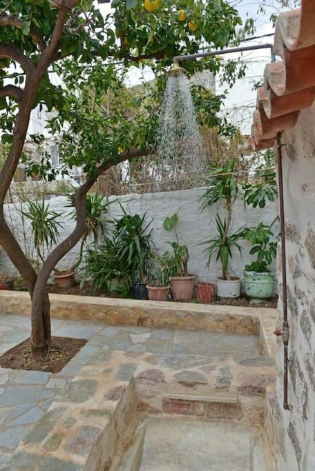 Sterna Apartment Ύδρα Εξωτερικό φωτογραφία